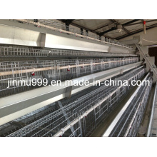 Layer Chicken Cage for Sell